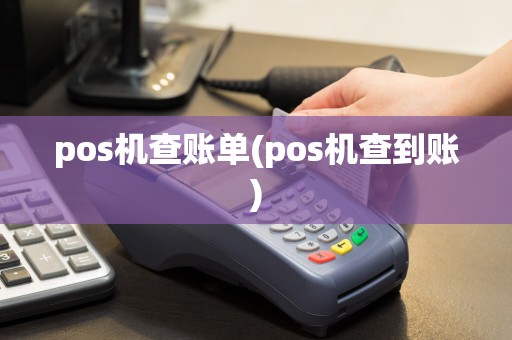 pos机查账单(pos机查到账)