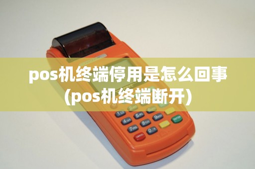 pos机终端停用是怎么回事(pos机终端断开)