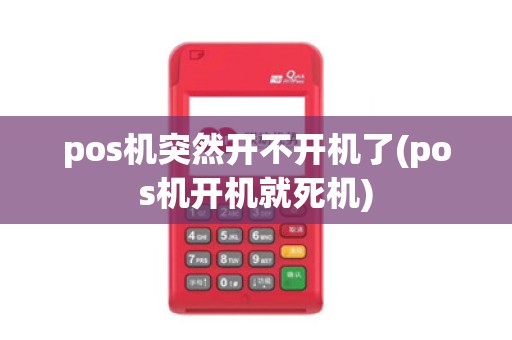 pos机突然开不开机了(pos机开机就死机)