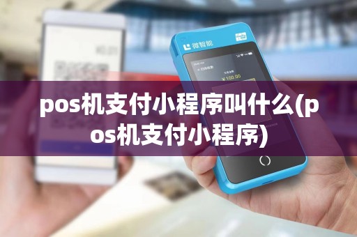 pos机支付小程序叫什么(pos机支付小程序)