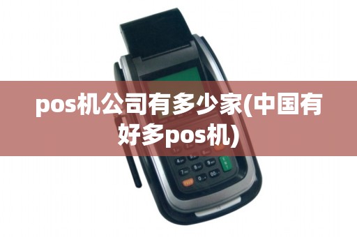 pos机公司有多少家(中国有好多pos机)