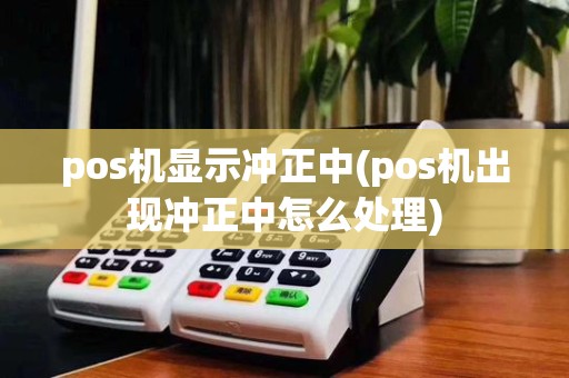 pos机显示冲正中(pos机出现冲正中怎么处理)