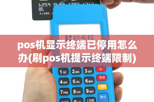 pos机显示终端已停用怎么办(刷pos机提示终端限制)