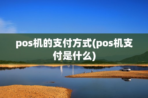 pos机的支付方式(pos机支付是什么)