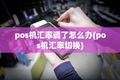 pos机汇率调了怎么办(pos机汇率切换)