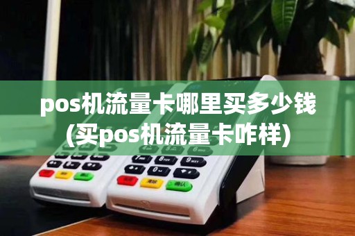 pos机流量卡哪里买多少钱(买pos机流量卡咋样)