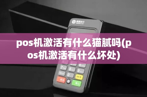 pos机激活有什么猫腻吗(pos机激活有什么坏处)