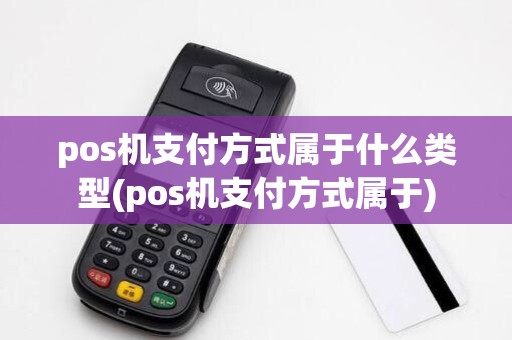 pos机支付方式属于什么类型(pos机支付方式属于)