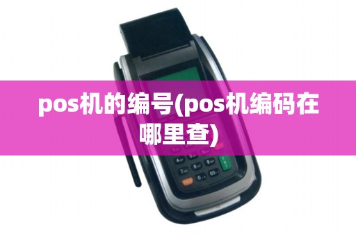 pos机的编号(pos机编码在哪里查)