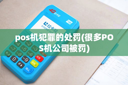 pos机犯罪的处罚(很多POS机公司被罚)