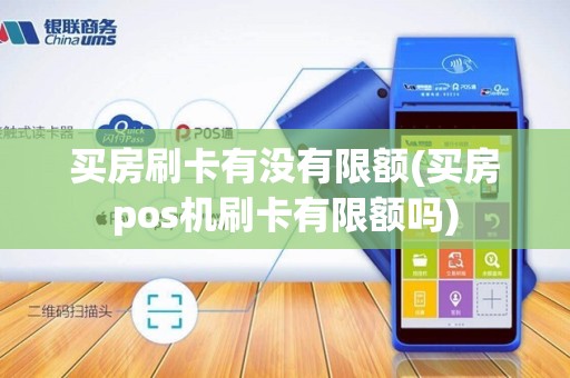 买房刷卡有没有限额(买房pos机刷卡有限额吗)