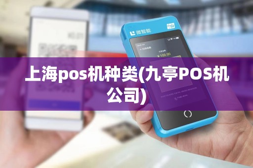 上海pos机种类(九亭POS机公司)