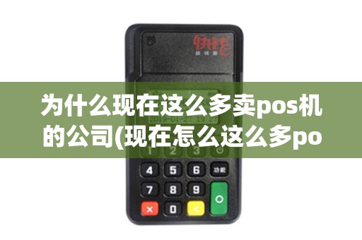 为什么现在这么多卖pos机的公司(现在怎么这么多pos机)