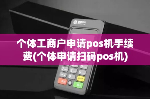 个体工商户申请pos机手续费(个体申请扫码pos机)