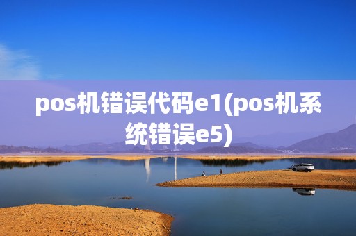 pos机错误代码e1(pos机系统错误e5)