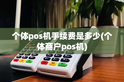 个体pos机手续费是多少(个体商户pos机)
