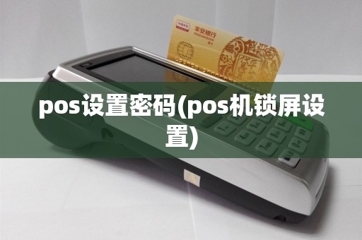 pos设置密码(pos机锁屏设置)