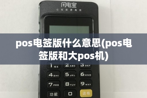 pos电签版什么意思(pos电签版和大pos机)
