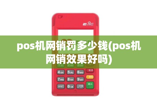 pos机网销罚多少钱(pos机网销效果好吗)