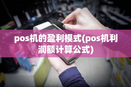 pos机的盈利模式(pos机利润额计算公式)