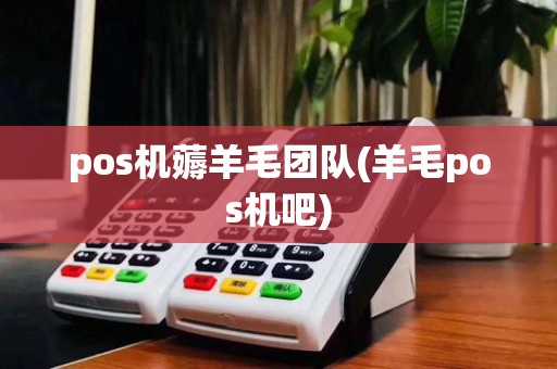pos机薅羊毛团队(羊毛pos机吧)