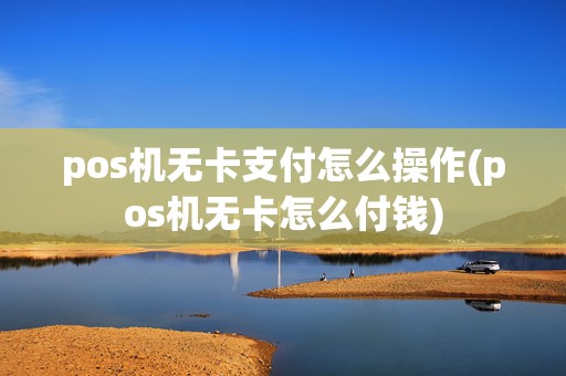 pos机无卡支付怎么操作(pos机无卡怎么付钱)