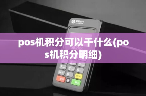 pos机积分可以干什么(pos机积分明细)