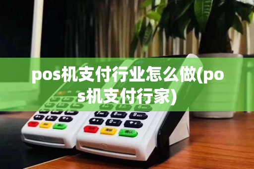 pos机支付行业怎么做(pos机支付行家)