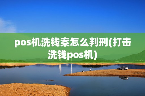 pos机洗钱案怎么判刑(打击洗钱pos机)