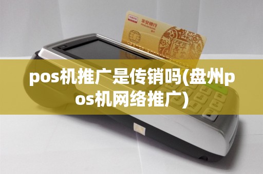 pos机推广是传销吗(盘州pos机网络推广)