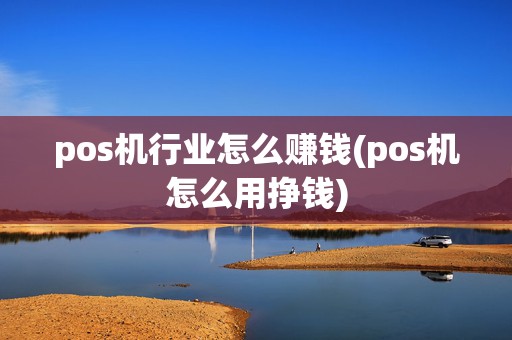 pos机行业怎么赚钱(pos机怎么用挣钱)