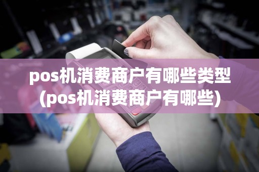 pos机消费商户有哪些类型(pos机消费商户有哪些)