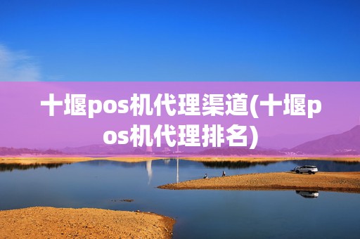 十堰pos机代理渠道(十堰pos机代理排名)