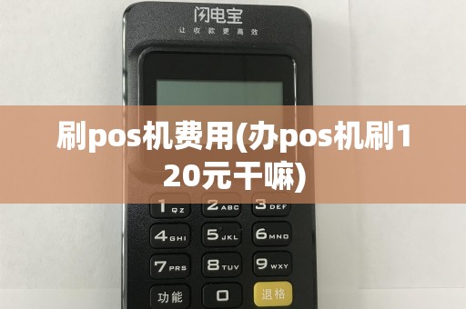 刷pos机费用(办pos机刷120元干嘛)