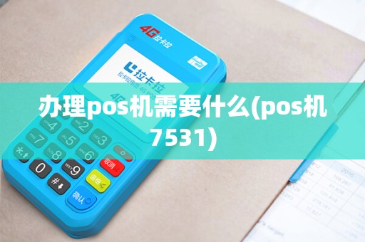 办理pos机需要什么(pos机7531)