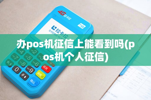 办pos机征信上能看到吗(pos机个人征信)