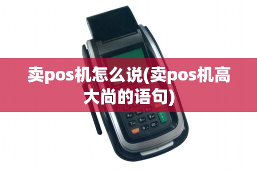 卖pos机怎么说(卖pos机高大尚的语句)