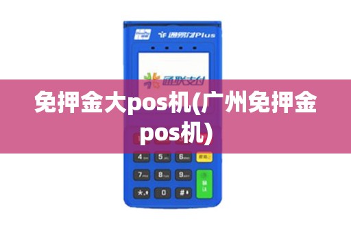 免押金大pos机(广州免押金pos机)