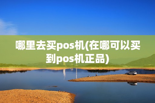 哪里去买pos机(在哪可以买到pos机正品)