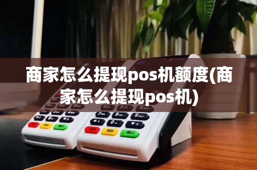 商家怎么提现pos机额度(商家怎么提现pos机)