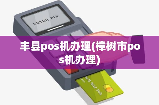 丰县pos机办理(樟树市pos机办理)