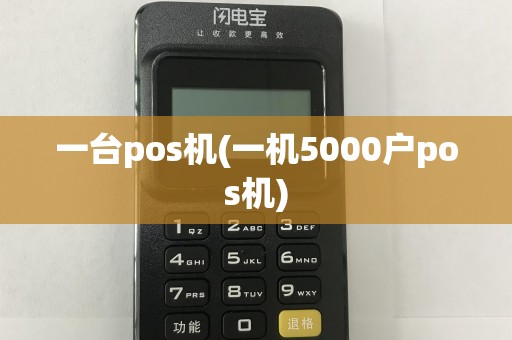 一台pos机(一机5000户pos机)