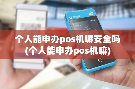 个人能申办pos机嘛安全吗(个人能申办pos机嘛)