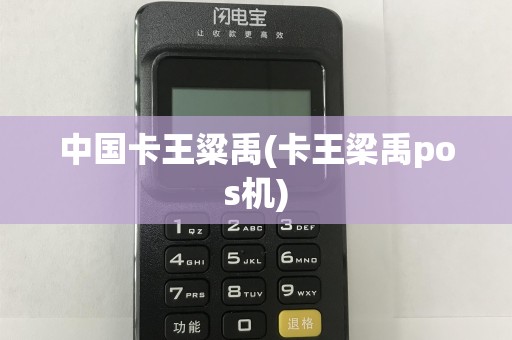 中国卡王粱禹(卡王梁禹pos机)