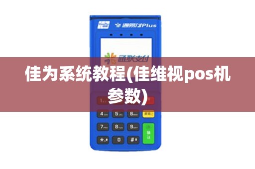 佳为系统教程(佳维视pos机参数)