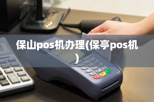 保山pos机办理(保亭pos机)