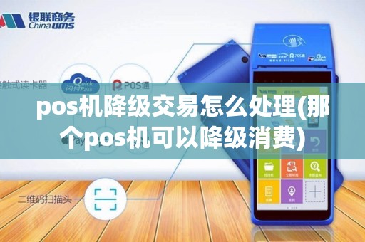 pos机降级交易怎么处理(那个pos机可以降级消费)