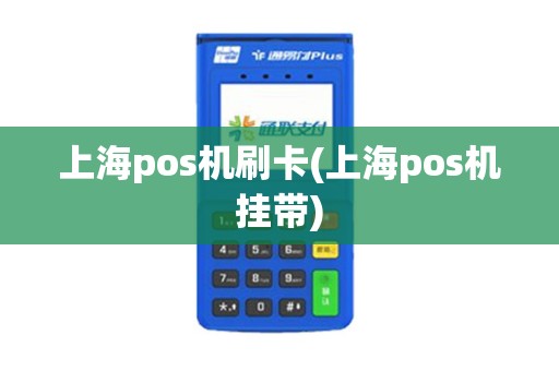 上海pos机刷卡(上海pos机挂带)