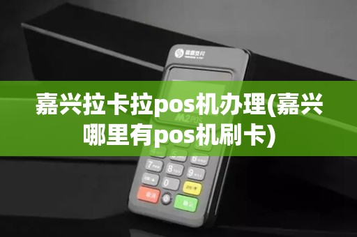 嘉兴拉卡拉pos机办理(嘉兴哪里有pos机刷卡)
