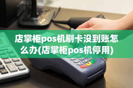 店掌柜pos机刷卡没到账怎么办(店掌柜pos机停用)